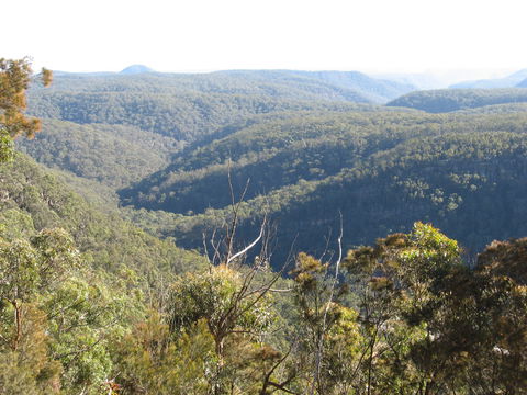 Nattai Gorge Lookout - New Castle Holiday 1