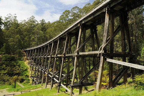 Noojee Trestle Bridge - New Castle Holiday 0