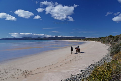 North West - New Castle Holiday 0