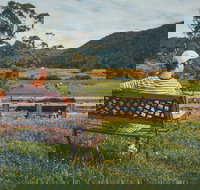 North - North East - New Castle Holiday