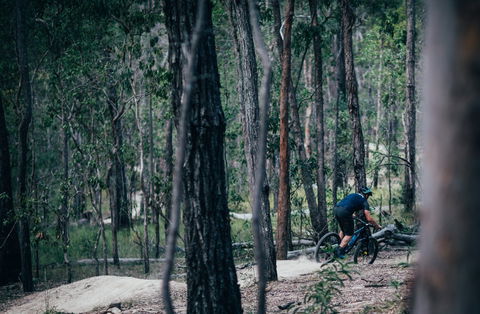 Old Tambo Downhill Mountain Bike Track - New Castle Holiday 0