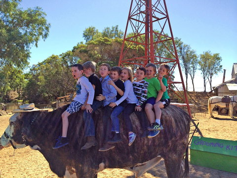 Outback Stockman's Show - New Castle Holiday 1