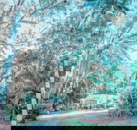 Phillips Gallery - New Castle Holiday