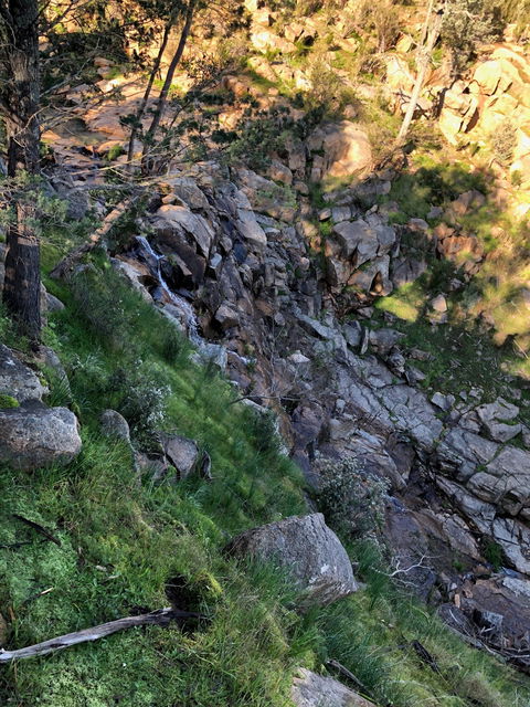 Pine Gully Nature Trail - New Castle Holiday 0