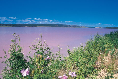 Port Gregory - New Castle Holiday 0