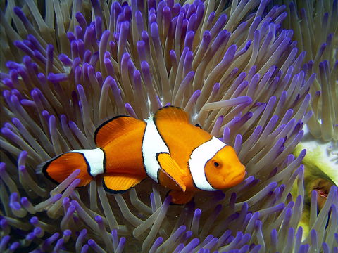 Reef HQ Aquarium - New Castle Holiday 1