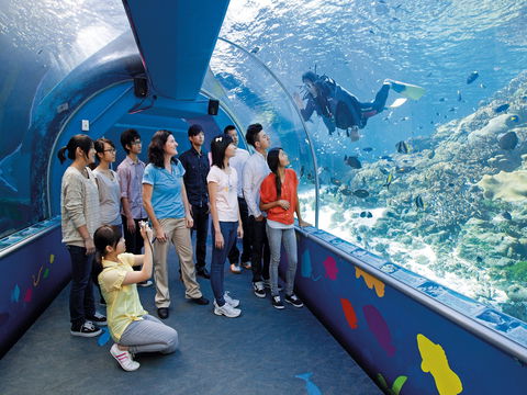 Reef HQ Aquarium - New Castle Holiday 2