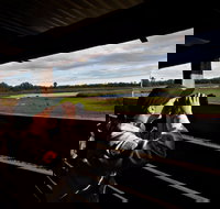 Reed Beds Bird Hide Boardwalk - New Castle Holiday