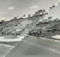 Rockhampton Bull Statues - New Castle Holiday