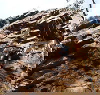 Rock Climbing in Morialta - New Castle Holiday