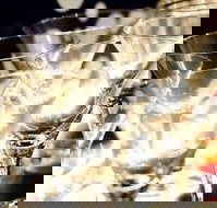 Rushworth - New Castle Holiday