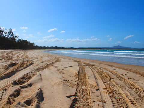 Sandon Beach - New Castle Holiday 2