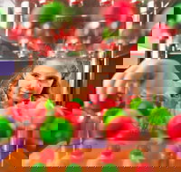 Sciencentre - New Castle Holiday