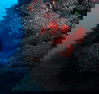 Stepping Stones Dive Site - New Castle Holiday