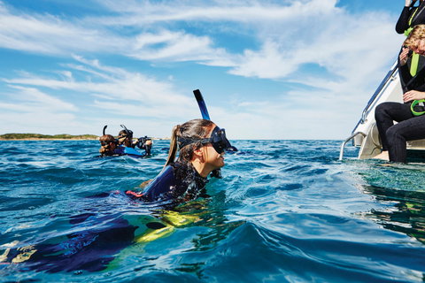 Swim With Dolphins Day Trip - New Castle Holiday 0