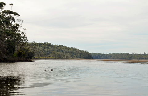 Tabourie Lake - New Castle Holiday 0