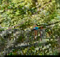 Tamborine Mountain - New Castle Holiday