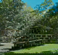 Terania Creek Picnic Area - New Castle Holiday