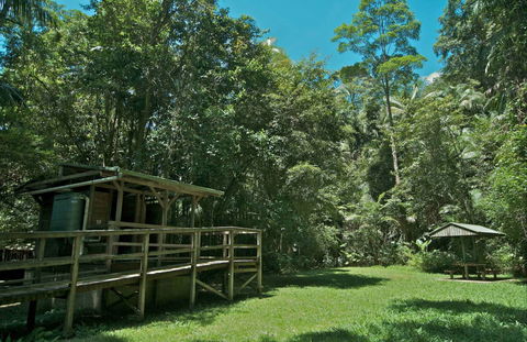 Terania Creek Picnic Area - New Castle Holiday 0