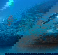 The Zanoni Wreck - New Castle Holiday