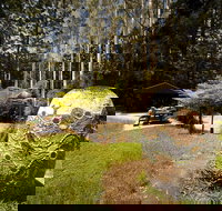 The Pines Picnic Area - New Castle Holiday