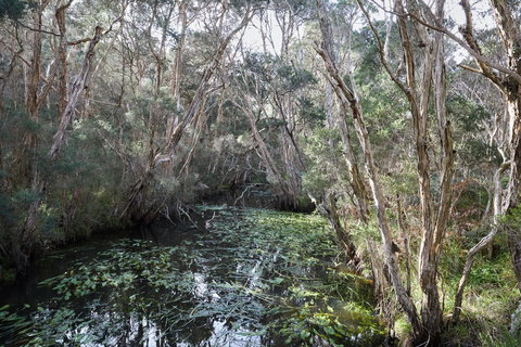 The Briars Park Walking Trails - New Castle Holiday 2