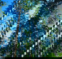 The Four Aces - New Castle Holiday