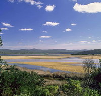 Wallagoot Lake Picnic Area and Boat Ramp - New Castle Holiday