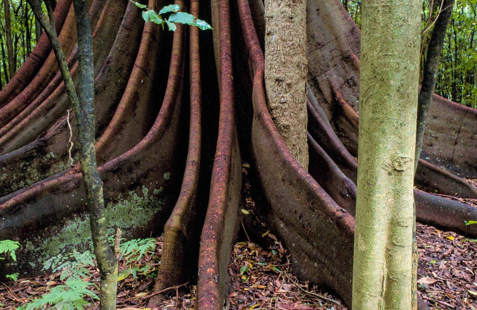 Wherrol Flat NSW New Castle Holiday