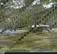 Wooldridge Recreation and Fossicking Reserve - New Castle Holiday