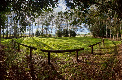 Aboriginal Bora Ring - New Castle Holiday 0