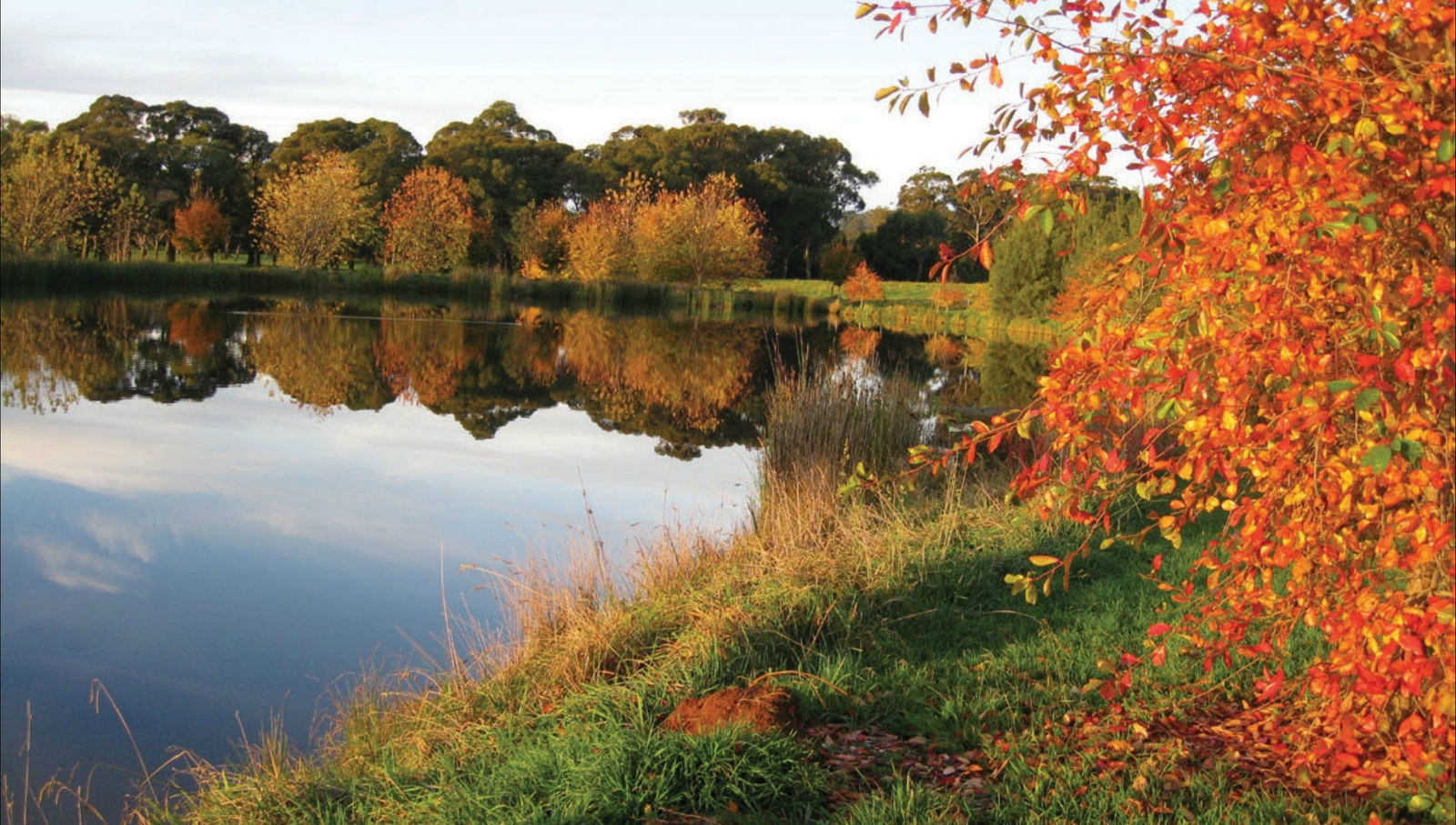 Alpine NSW New Castle Holiday