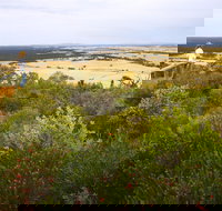 Archer Drive Scenic Drive and Lookout - New Castle Holiday