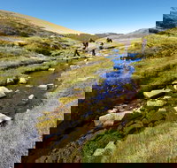 Australian Alps Walking Track - New Castle Holiday