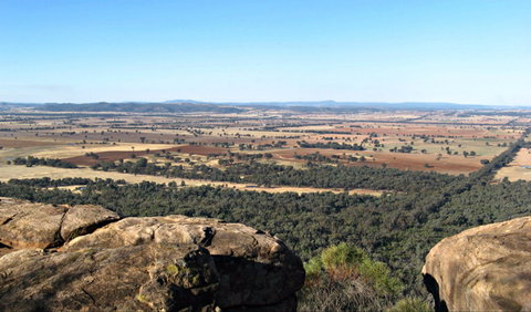 Basin Gully To Eualdrie Lookout Track - New Castle Holiday 0