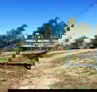 Bindea Walking Track - New Castle Holiday