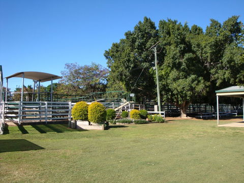Blackall Saleyards - New Castle Holiday 1