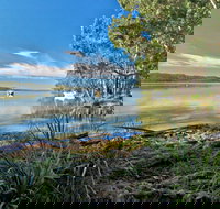 Black Oaks Picnic Area - New Castle Holiday