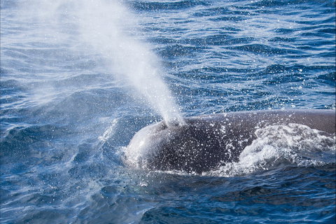 Bremer Bay Canyon - New Castle Holiday 0