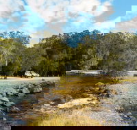 Brunswick River Picnic Area - New Castle Holiday