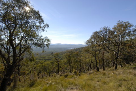 Bunyip State Park - New Castle Holiday 0