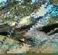 Burrawang Reach Picnic Area - New Castle Holiday