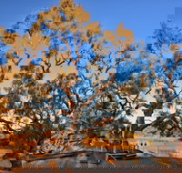 Burke and Wills Dig Tree - New Castle Holiday