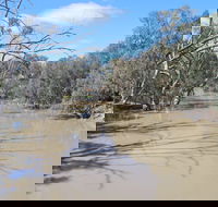 Bush Tucker Trail - New Castle Holiday