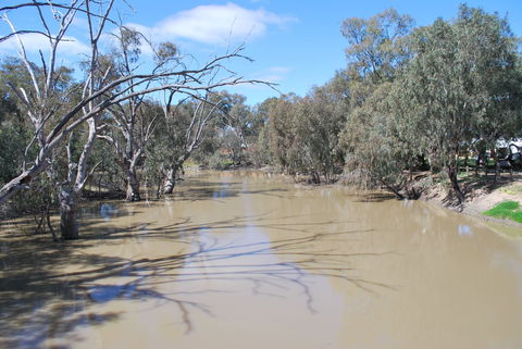 Bush Tucker Trail - New Castle Holiday 0