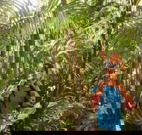 Canungra - New Castle Holiday