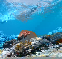 Capricorn Coast and Great Keppel Island Drive Itinerary - New Castle Holiday