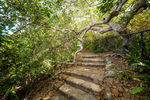 Capricorn Coast National Park - New Castle Holiday 2