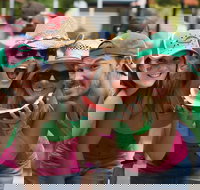 Chinchilla - New Castle Holiday