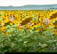 Clifton - New Castle Holiday